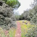 Maison De La Pinede, Acces Direct Foret Et Σπίτι διακοπών Notre-Dame-de-Monts