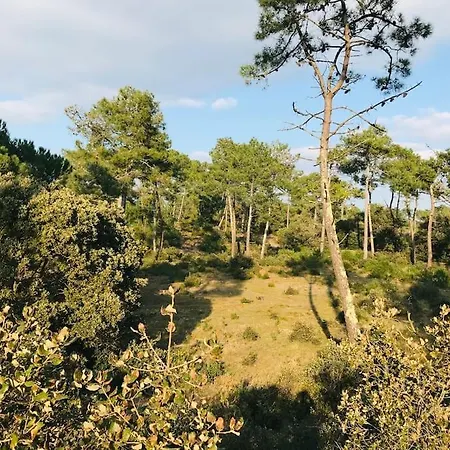 Σπίτι διακοπών Maison De La Pinede, Acces Direct Foret Et Notre-Dame-de-Monts