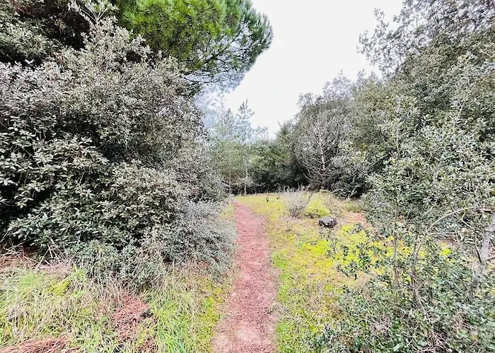 Maison De La Pinede, Acces Direct Foret Et Σπίτι διακοπών Notre-Dame-de-Monts