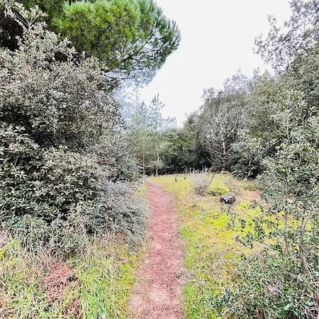 Maison De La Pinede, Acces Direct Foret Et Holiday home Notre-Dame-de-Monts