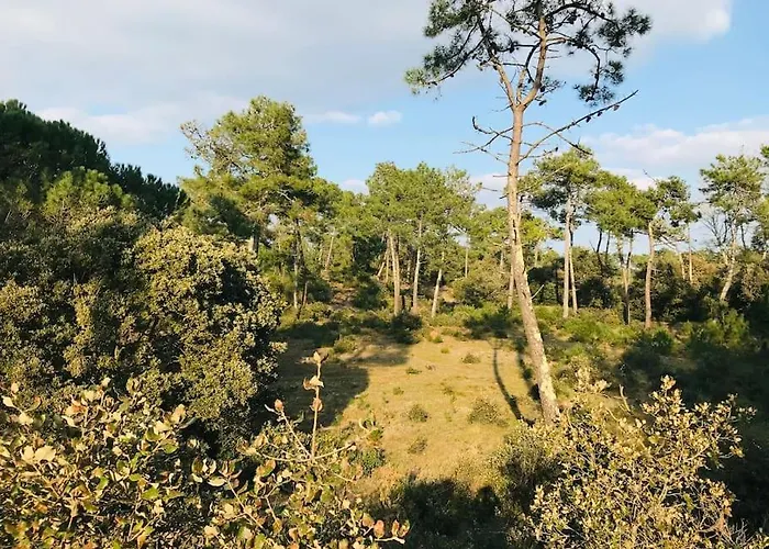 Casa de Férias Maison De La Pinède, Accès Direct Forêt Et Notre-Dame-de-Monts